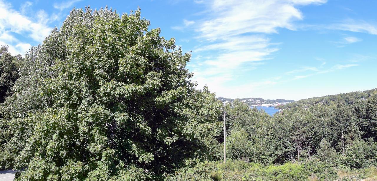 Tromoy Arendal Exterior photo